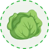 为您带来精彩的游戏体验 - 赏金女王