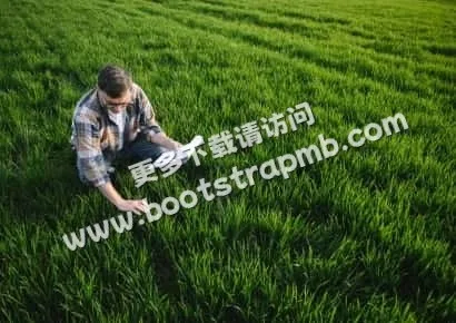 探索游戏世界的精彩 - 赏金女王