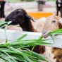 搜索 - 赏金女王